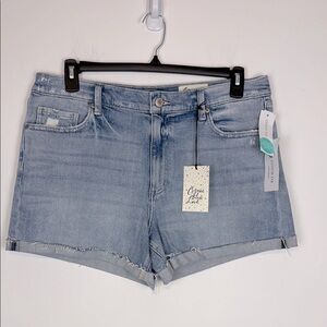 Cosmic Blue Love James High Rise Jean Shorts. Stitch Fix. Size 32/14. NWT